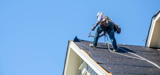 Roof Gutter Cleaning in Dillsburg, PA